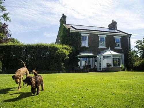 Dowfold House Bed And Breakfast Crook  Экстерьер фото